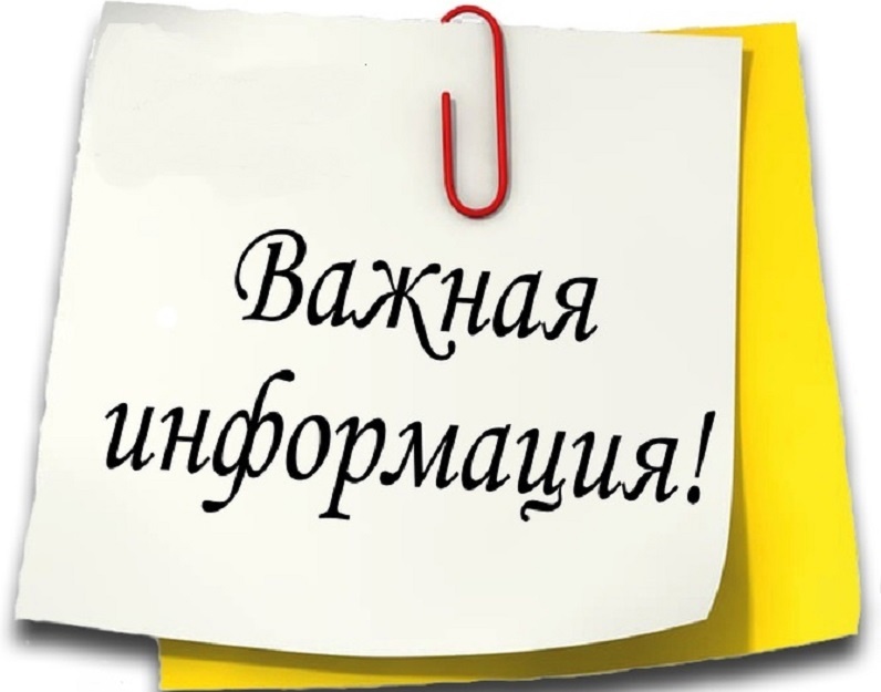 ZBc0bi7fy7o